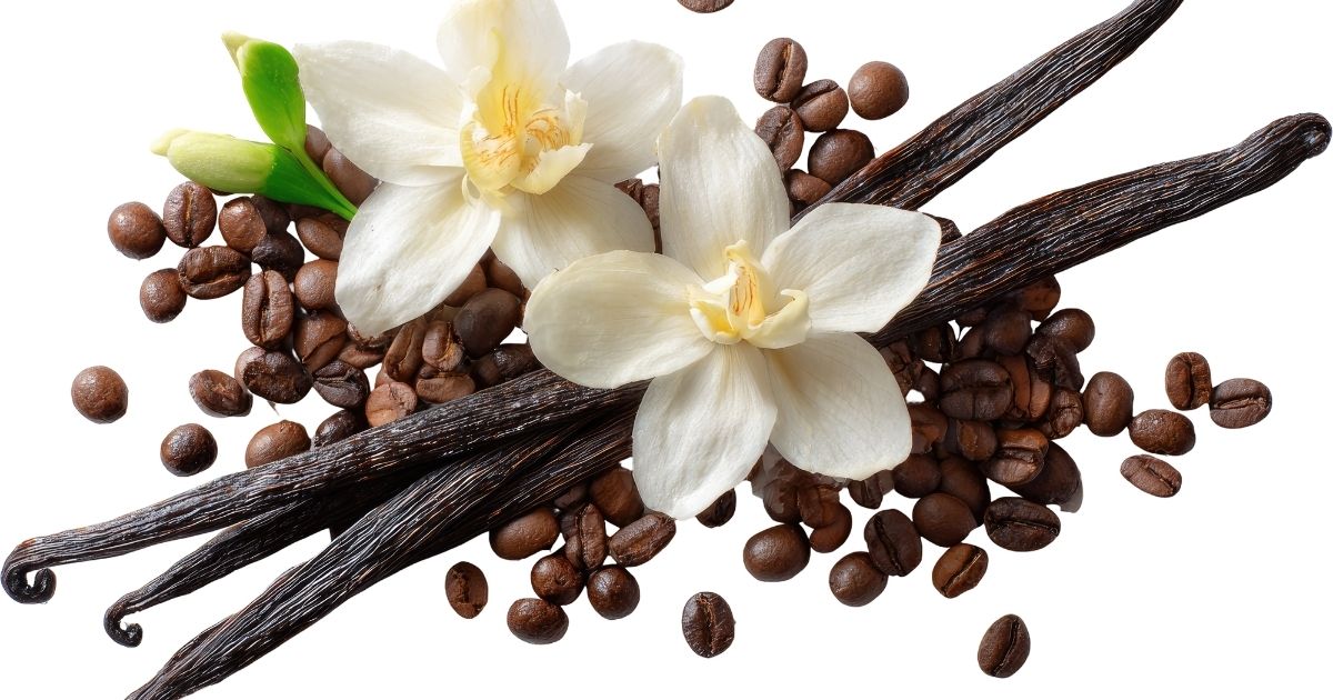 New Starbucks spring 2026 drinks including the Toasted Coconut Cream Cold Brew and Iced Ube Coconut Macchiato